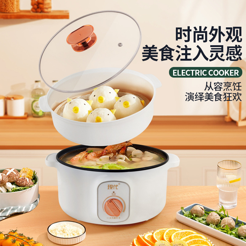 Mini-casserole électrique mult - Kitchen Appliances For Cooking avis et prix